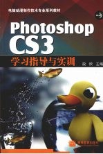 Photoshop CS3学习指导与实训