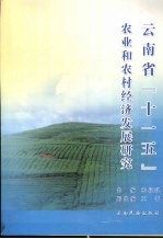 云南省“十一五”农业和农村经济发展研究