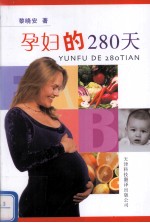 孕妇的280天