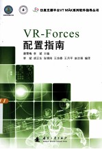 VR Forces配置指南