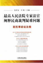 最高人民法院专家法官阐释民商裁判疑难问题 新民事诉讼法卷