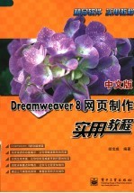 中文版Dreamweaver 8网页制作实用教程