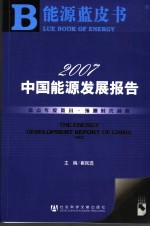 中国能源发展报告 2007 2007