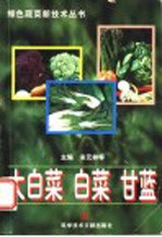 大白菜 白菜 甘蓝