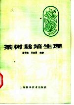 茶树栽培生理