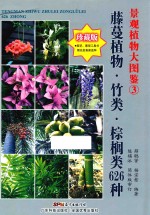 景观植物大图鉴 3 藤蔓植物·竹类·棕榈类626种 珍藏版