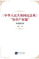 《中华人民共和国民法典》“知识产权编”专家建议稿