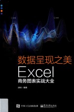 数据呈现之美  Excel商务图表实战大全