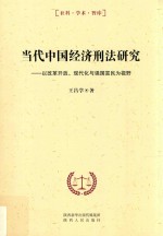 当代中国经济刑法研究:以改革开放、现代化与强国富民为视野