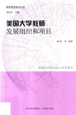 美国大学教师发展组织和项目