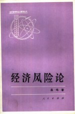 经济风险论 从风险角度对中国现实经济问题的研究