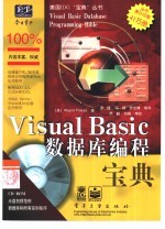 Visual Basic数据库编程宝典