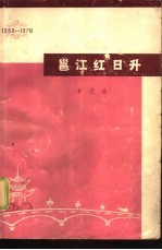 邕江红日升 庆祝广西壮族自治区成立二十周年