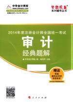 注册会计师全国统一考试“梦想成真”系列辅导丛书 审计经典题解