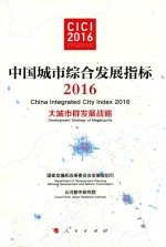 中国城市综合发展指标2016 大城市群发展战略