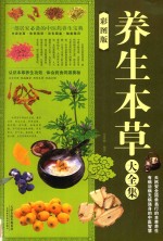 养生本草大全集 彩图版