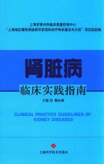 肾脏病临床实践指南