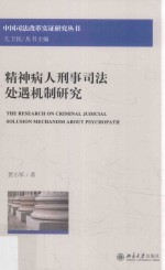 精神病人刑事司法处遇机制研究=The research on criminal judicial solusion mechanism about psychopath