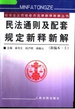 民法通则及配套规定新释新解 中