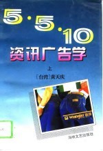 5·10资讯广告学 下