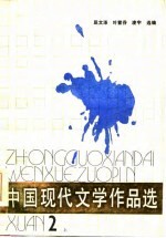 中国现代文学作品选 第2册 下