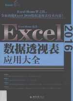 Excel 2016数据透视表应用大全