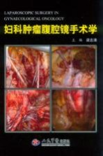 妇科肿瘤腹腔镜手术学