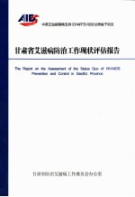 甘肃省艾滋病防治工作现状评估报告