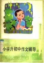 小学升初中作文辅导