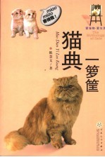 猫典一箩筐