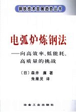 电弧炉炼钢法 向高效率、低能耗、高质量的挑战