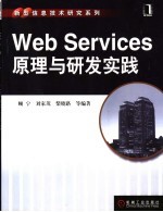 Web Services原理与研发实践