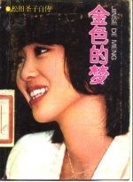 金色的梦-松田圣子自传