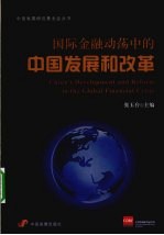 国际金融动荡中的中国发展和改革