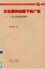 文化精神烛照下的广东：广东文化发展30年