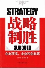 战略制胜：企业环境、企业和企业家