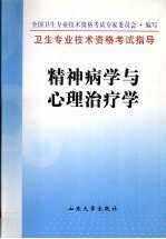 卫生专业技术资格考试指导  精神病学与心理治疗学