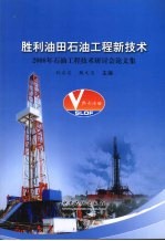 胜利油田石油工程新技术 2008年石油工程技术研讨会论文集