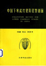 中国下寒武统建阶层型剖面