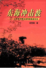 东海冲击波 三军首次联合渡海登陆战纪实