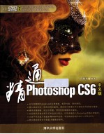 精通Photoshop CS6中文版