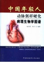 中国年轻人动脉粥样硬化病理生物学图谱