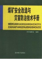 煤矿安全改造与灾害防治技术手册 第2卷