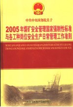 2005年煤矿安全管理国家强制性标准与各工种岗位安全生产日常管理工作准则 第2卷