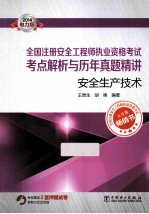 全国注册安全工程师执业资格考试考点解析与历年真题精讲 安全生产技术