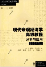 现代宏观经济学高级教程 分析与应用