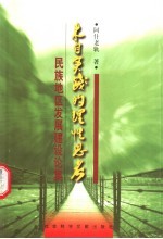 来自实践的理性思考 民族地区发展建设论集