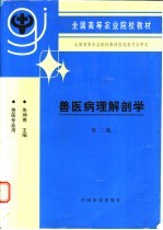 兽医病理解剖学