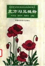 北方习见植物