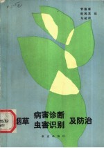 烟草病害诊断、虫害识别及防治